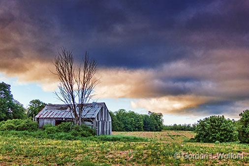 Barn In A Field_00797.jpg - Photographed under a threatening sky near Portland, Ontario, Canada.